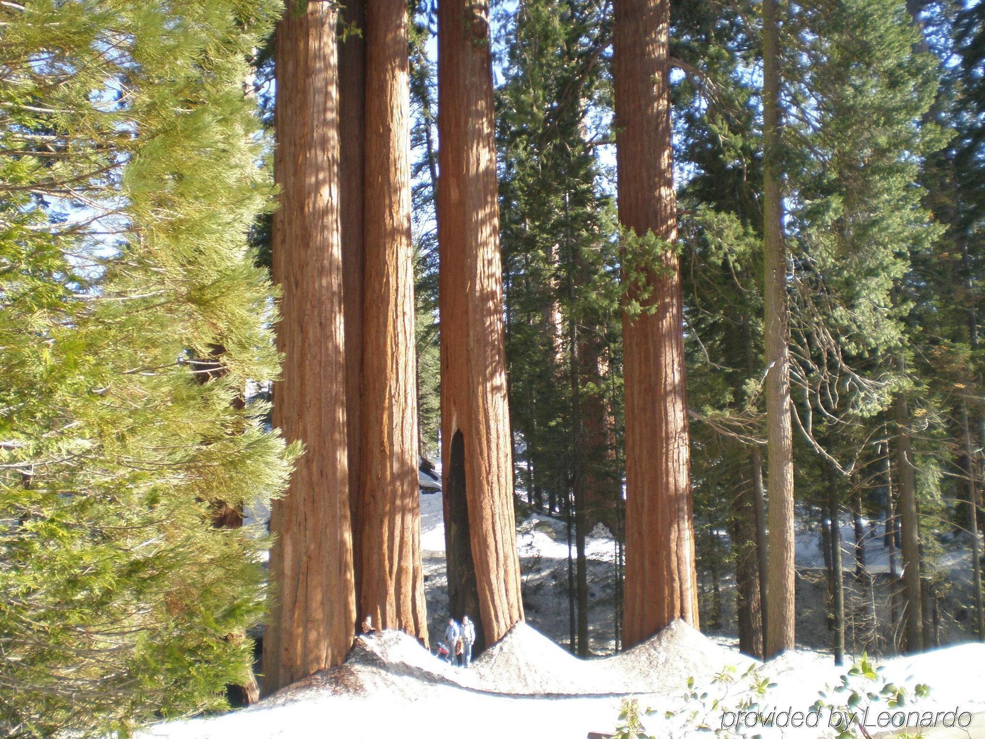 Wyndham Garden Yosemite Airport Fresno
